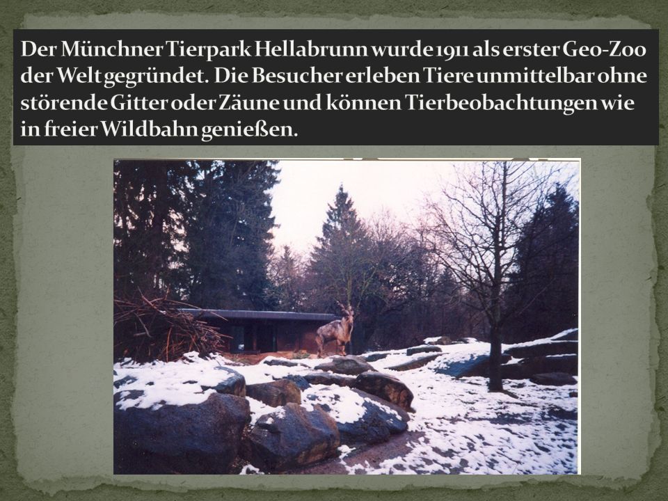 Der Münchner Tierpark Hellabrunn wurde 1911 als erster Geo-Zoo der Welt gegründet.