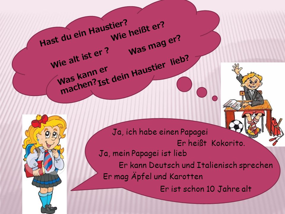 Hast du ein Haustier диалог. Hast du ein Haustier ответ. Mein Haustier презентация 4 класс. Mein Haustier на немецком языке.