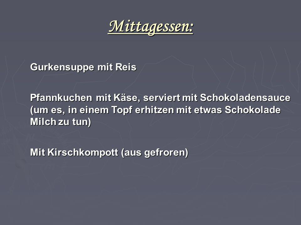 Mittagessen: Gurkensuppe mit Reis