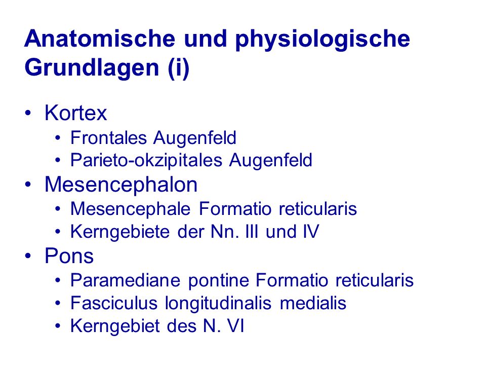 Anatomische und physiologische Grundlagen (i)