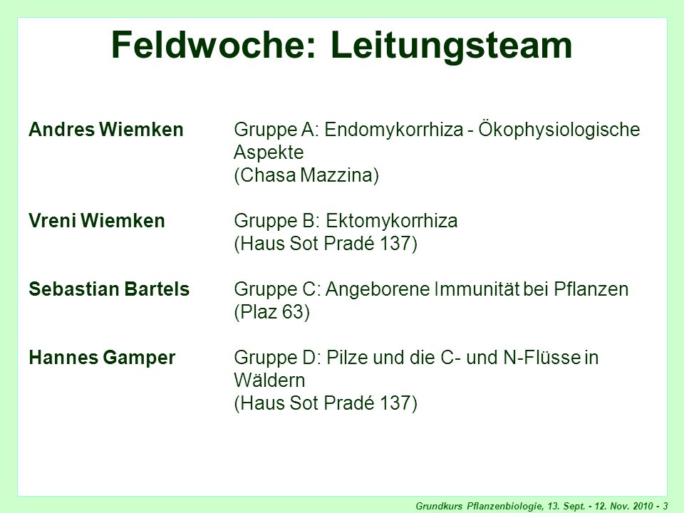 Feldwoche: Leitungsteam