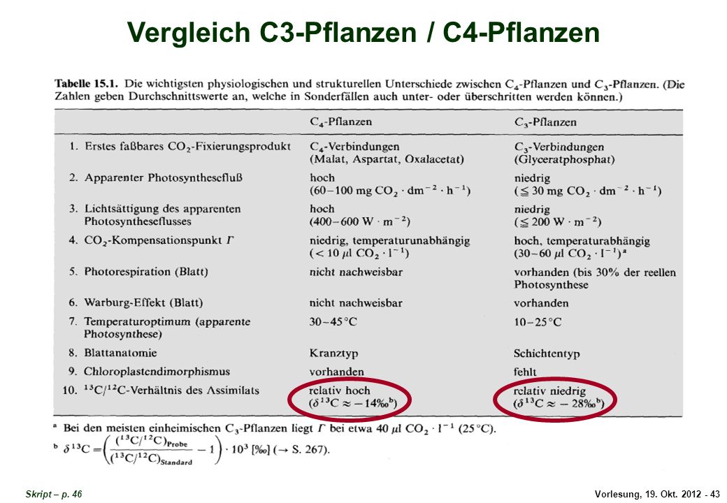 C3 Und C4 Pflanzen Im Vergleich Tabelle edccorpohumano