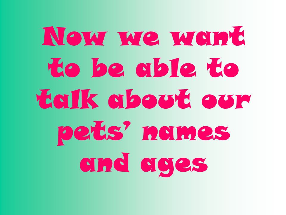 Now we want to be able to talk about our pets’ names and ages