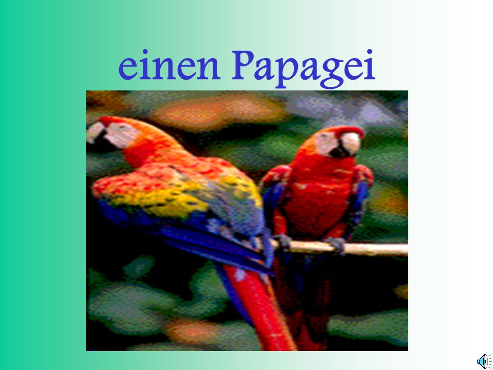 einen Papagei