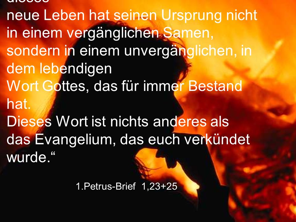„Ihr seid ja von neuem geboren, und dieses neue Leben hat seinen Ursprung nicht in einem vergänglichen Samen, sondern in einem unvergänglichen, in dem lebendigen Wort Gottes, das für immer Bestand hat. Dieses Wort ist nichts anderes als das Evangelium, das euch verkündet wurde.