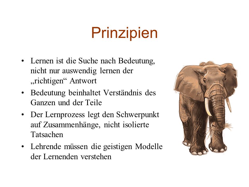 Prinzipien Lernen ist die Suche nach Bedeutung, nicht nur auswendig lernen der „richtigen Antwort.