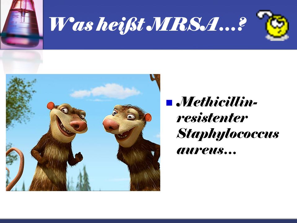 Was heißt MRSA… Methicillin-resistenter Staphylococcus aureus…
