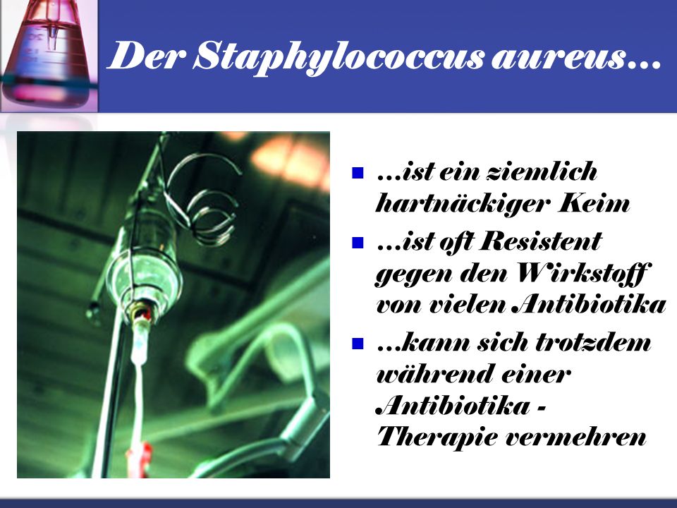 Der Staphylococcus aureus…
