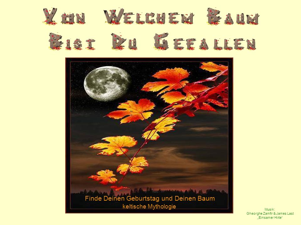 Finde Deinen Geburtstag und Deinen Baum