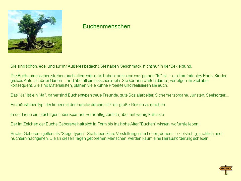 Buchenmenschen Sie sind schön, edel und auf ihr Äußeres bedacht. Sie haben Geschmack, nicht nur in der Bekleidung.