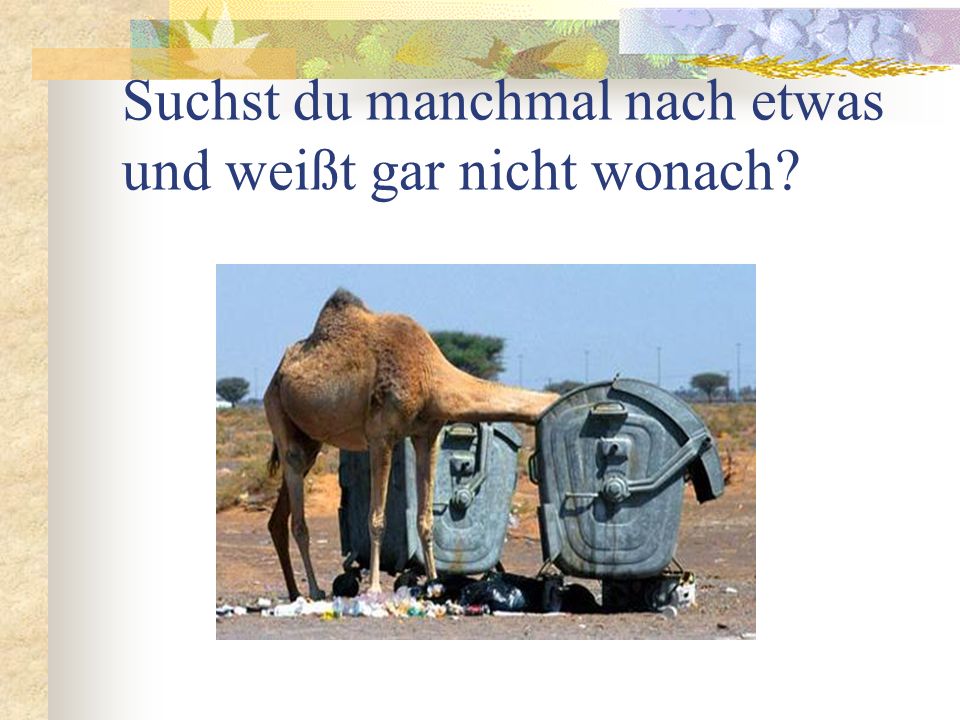 Suchst du manchmal nach etwas und weißt gar nicht wonach