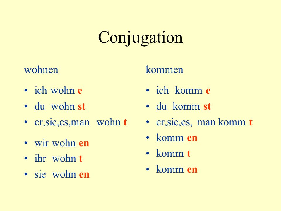 Haben Conjugation Song