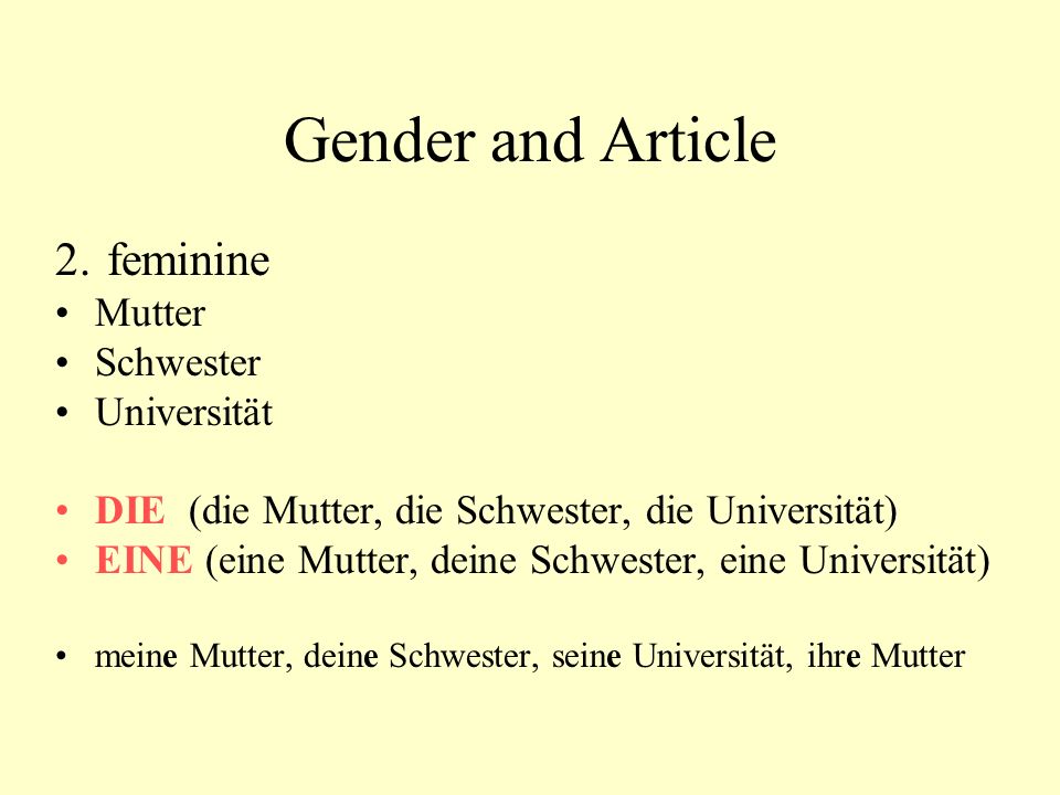 Gender and Article 2. feminine Mutter Schwester Universität
