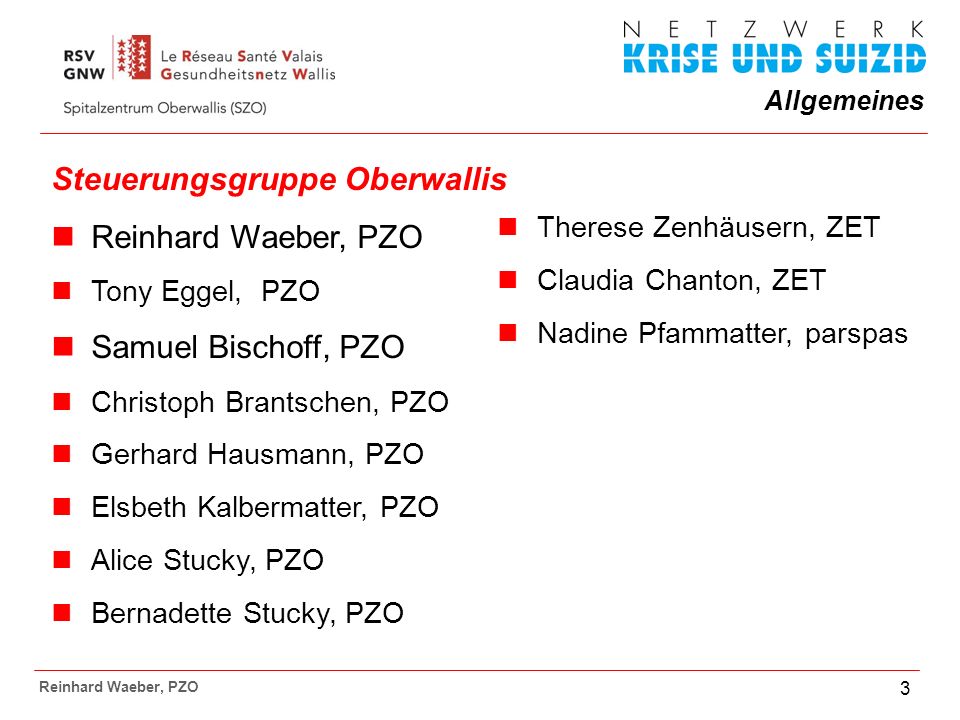 Steuerungsgruppe Oberwallis Reinhard Waeber, PZO