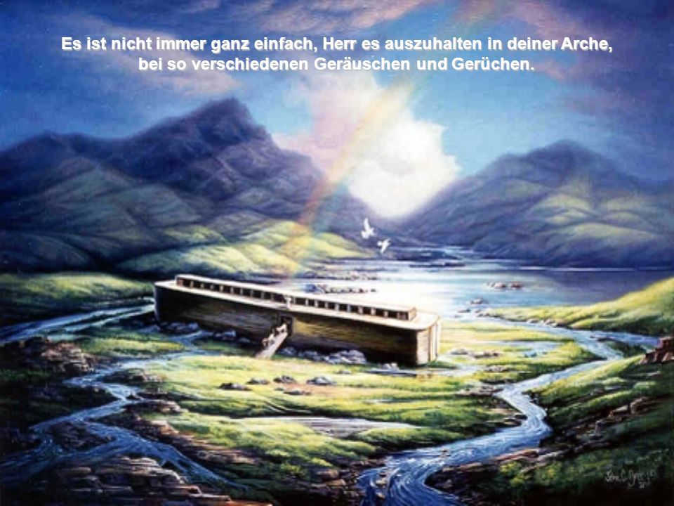 Es ist nicht immer ganz einfach, Herr es auszuhalten in deiner Arche,