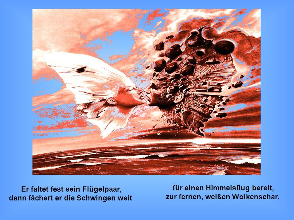 Er faltet fest sein Flügelpaar, dann fächert er die Schwingen weit