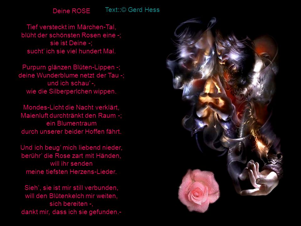 Deine Rose Text: © Gerd Hess automatisch - ppt herunterladen