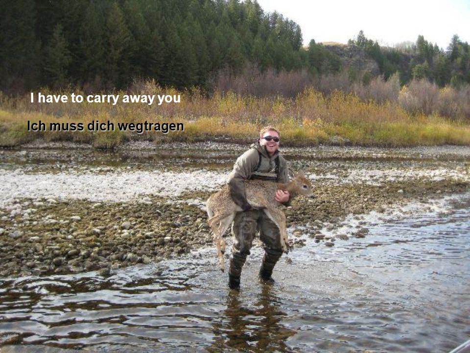 I have to carry away you Ich muss dich wegtragen