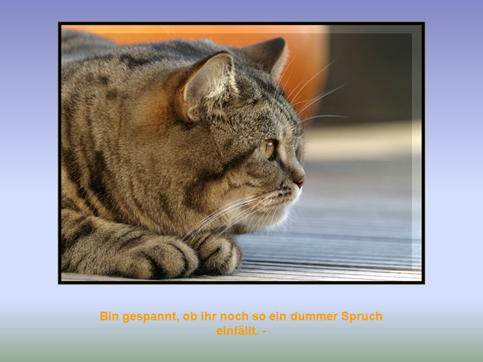 Bin gespannt, ob ihr noch so ein dummer Spruch einfällt. -