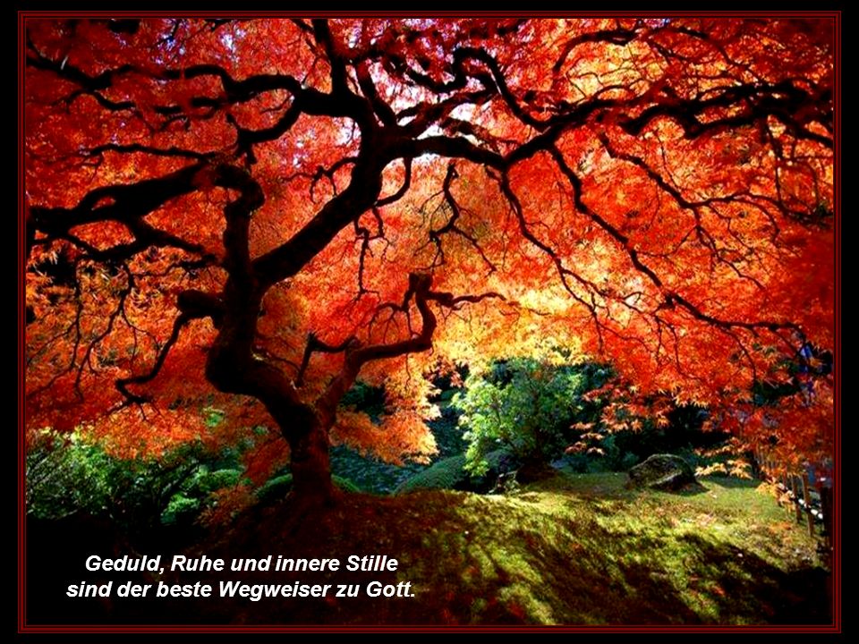 Geduld, Ruhe und innere Stille sind der beste Wegweiser zu Gott.