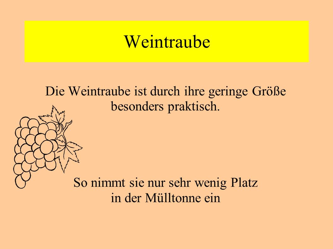 Weintraube Die Weintraube ist durch ihre geringe Größe besonders praktisch. So nimmt sie nur sehr wenig Platz.