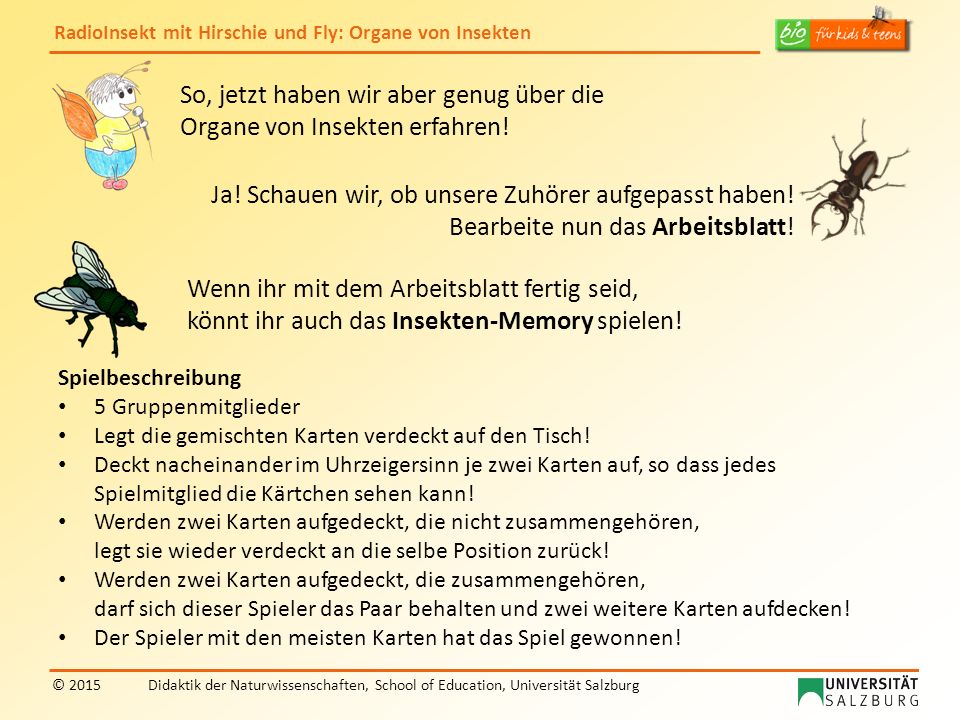 So, jetzt haben wir aber genug über die Organe von Insekten erfahren!
