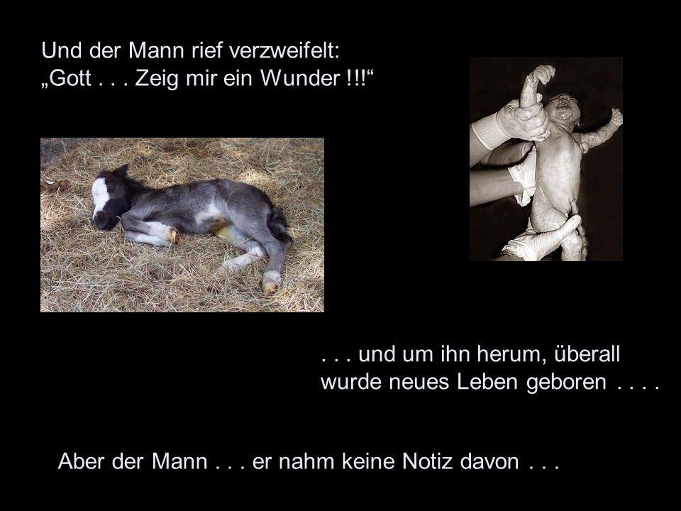 Und der Mann rief verzweifelt: „Gott Zeig mir ein Wunder !!!