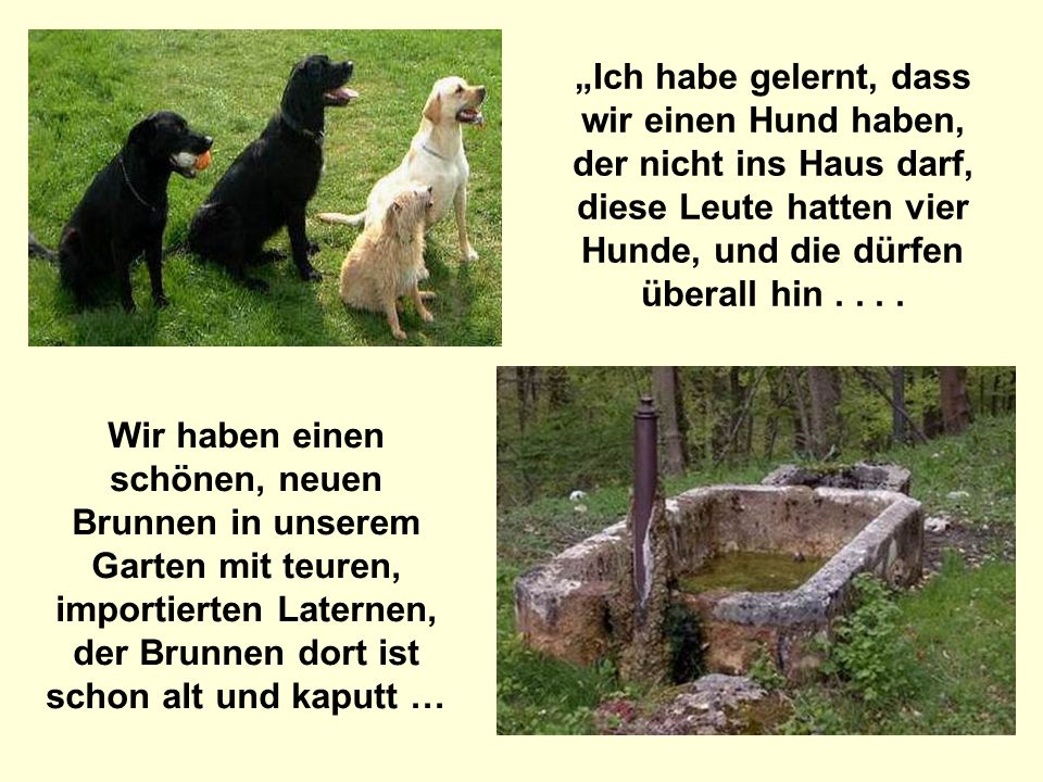 „Ich habe gelernt, dass wir einen Hund haben, der nicht ins Haus darf, diese Leute hatten vier Hunde, und die dürfen überall hin