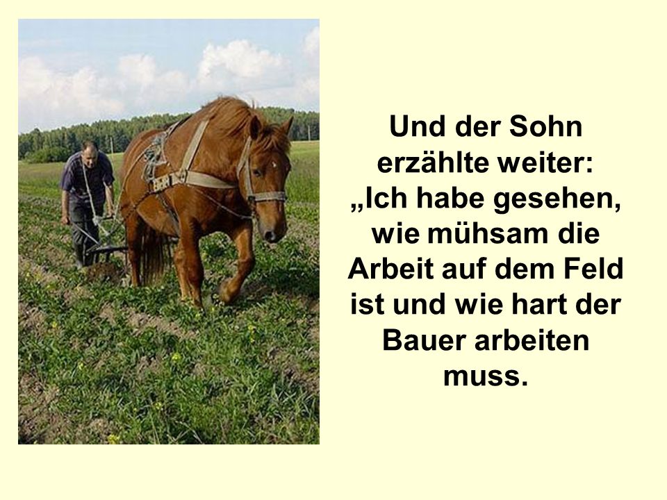 Und der Sohn erzählte weiter: „Ich habe gesehen, wie mühsam die Arbeit auf dem Feld ist und wie hart der Bauer arbeiten muss.