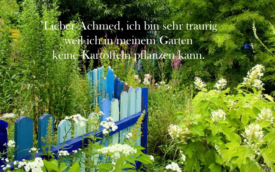 Lieber Achmed, ich bin sehr traurig weil ich in meinem Garten