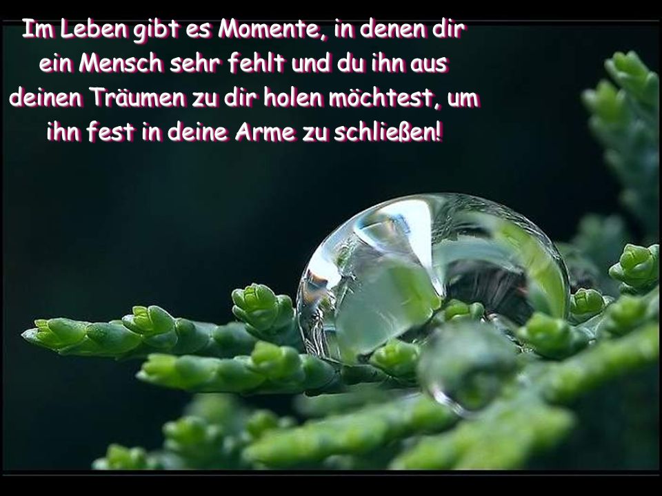 Im Leben gibt es Momente, in denen dir ein Mensch sehr fehlt und du ihn aus deinen Träumen zu dir holen möchtest, um ihn fest in deine Arme zu schließen!