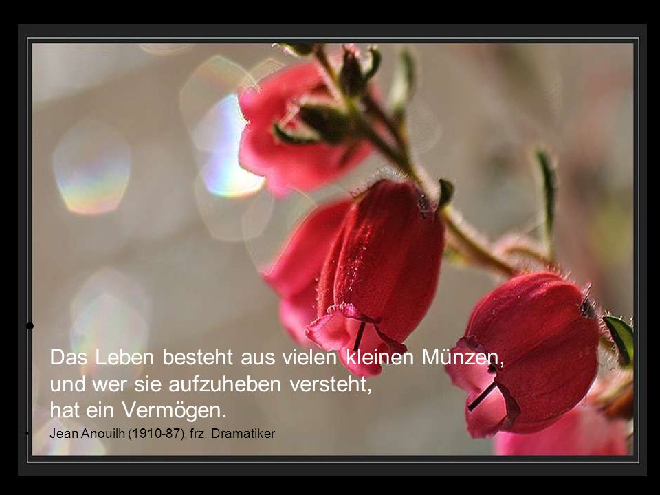 Das Leben besteht aus vielen kleinen Münzen, und wer sie aufzuheben versteht, hat ein Vermögen.