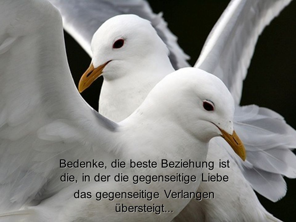 Bedenke, die beste Beziehung ist die, in der die gegenseitige Liebe