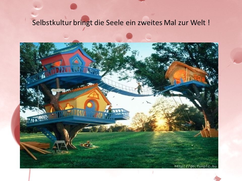 Selbstkultur bringt die Seele ein zweites Mal zur Welt !