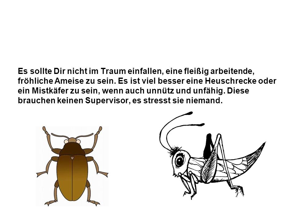 Es sollte Dir nicht im Traum einfallen, eine fleißig arbeitende, fröhliche Ameise zu sein.