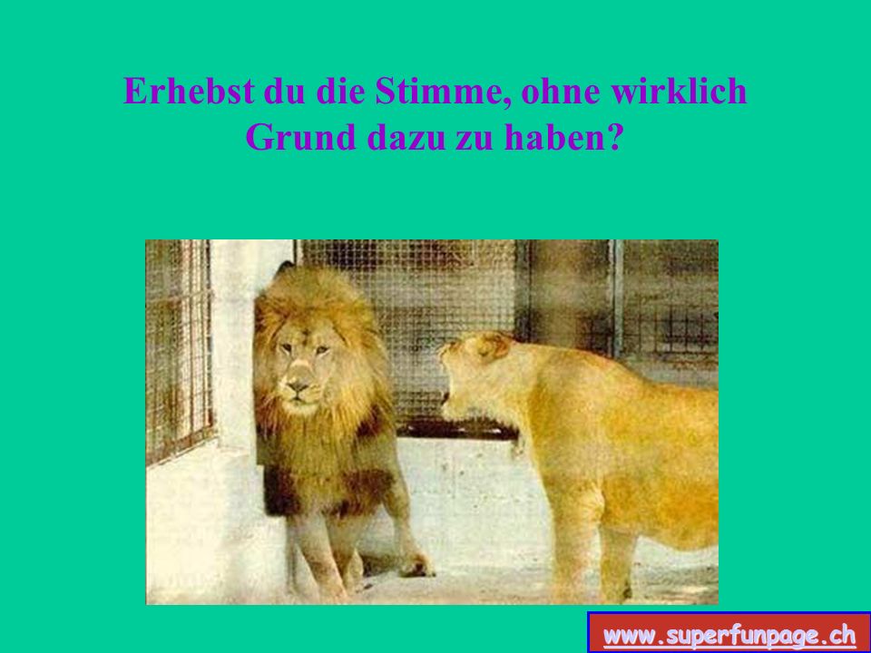 Erhebst du die Stimme, ohne wirklich Grund dazu zu haben
