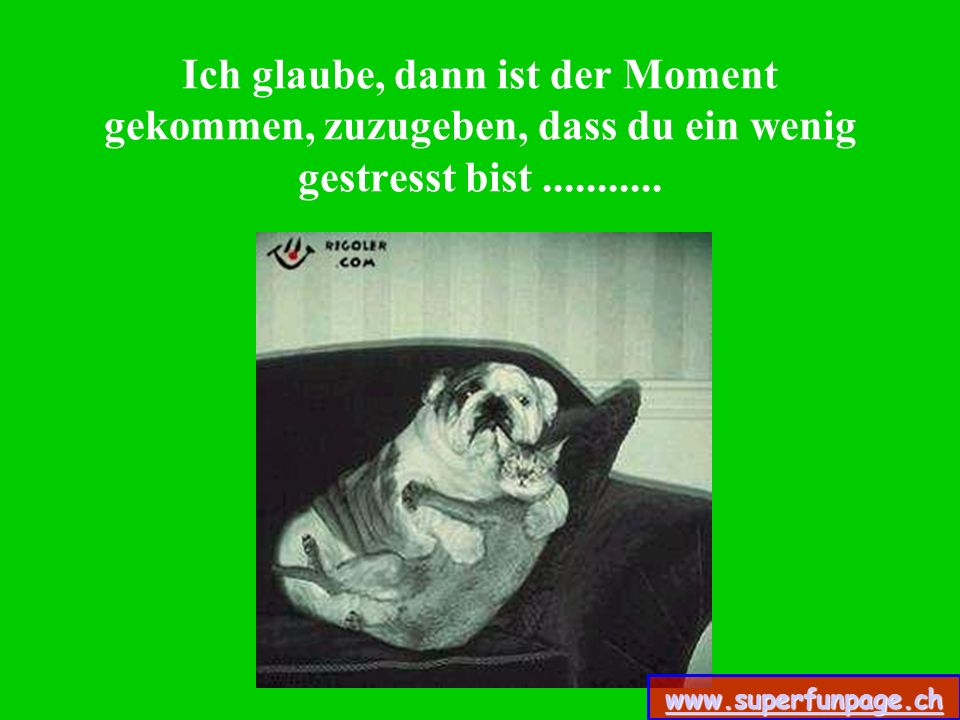 Ich glaube, dann ist der Moment gekommen, zuzugeben, dass du ein wenig gestresst bist