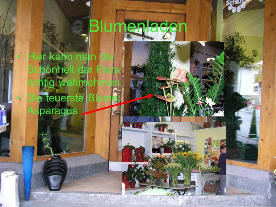 Blumenladen Hier kann man die Schönheit der Flora richtig wahrnehmen.
