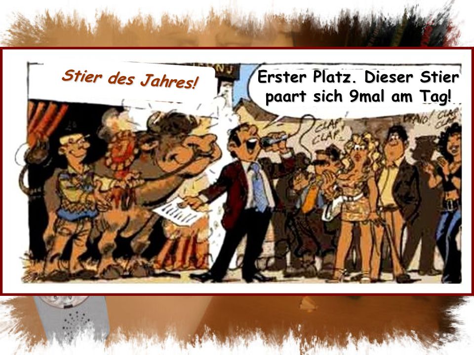 Erster Platz. Dieser Stier paart sich 9mal am Tag!