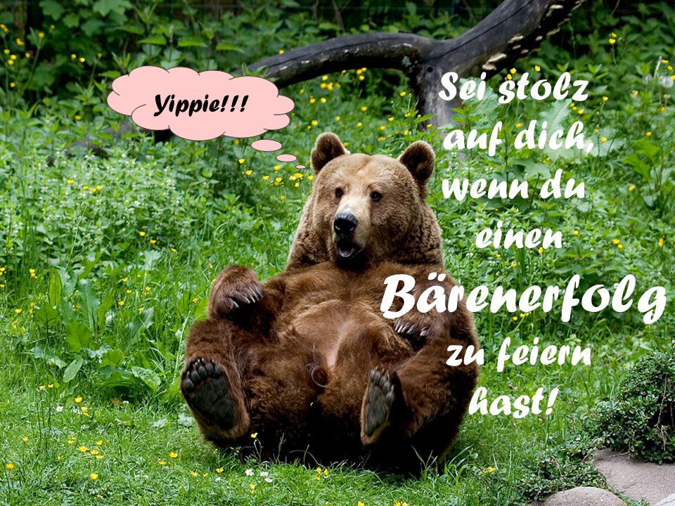 Sei stolz auf dich, wenn du einen zu feiern hast! Bärenerfolg