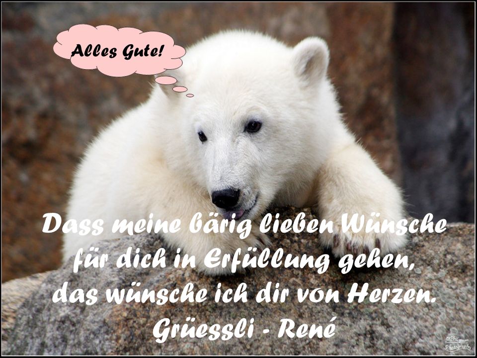 Dass meine bärig lieben Wünsche für dich in Erfüllung gehen,