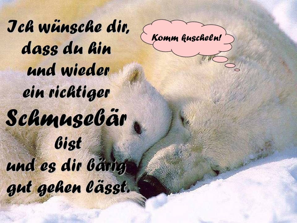 Schmusebär Ich wünsche dir, dass du hin und wieder ein richtiger bist