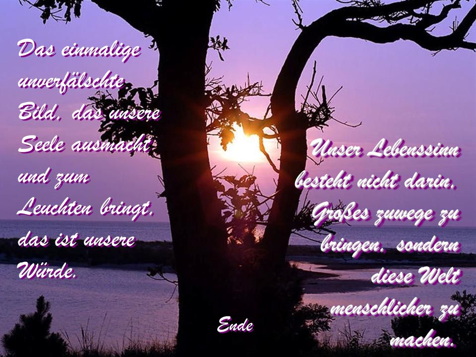 Unser Lebenssinn besteht nicht darin, Großes zuwege zu bringen, sondern diese Welt menschlicher zu machen.