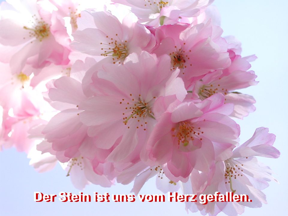 Der Stein ist uns vom Herz gefallen.