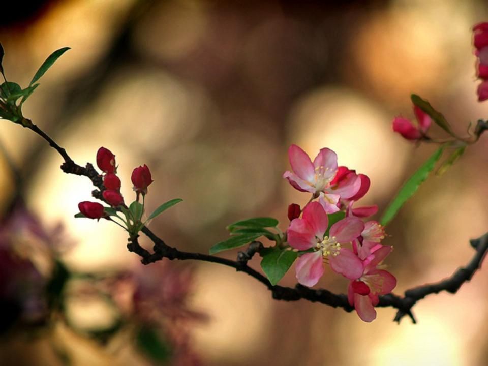 Du brauchst nicht über deine Möglichkeiten zu leben. Du brauchst nicht den. Erwartungen anderer. zu genügen.
