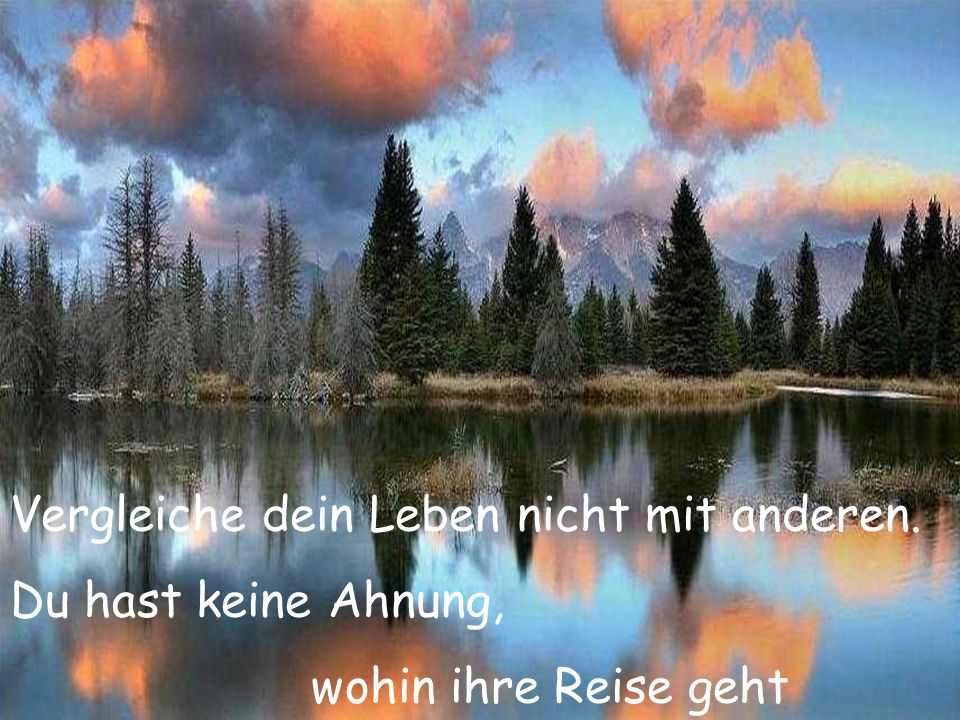 Vergleiche dein Leben nicht mit anderen. Du hast keine Ahnung,