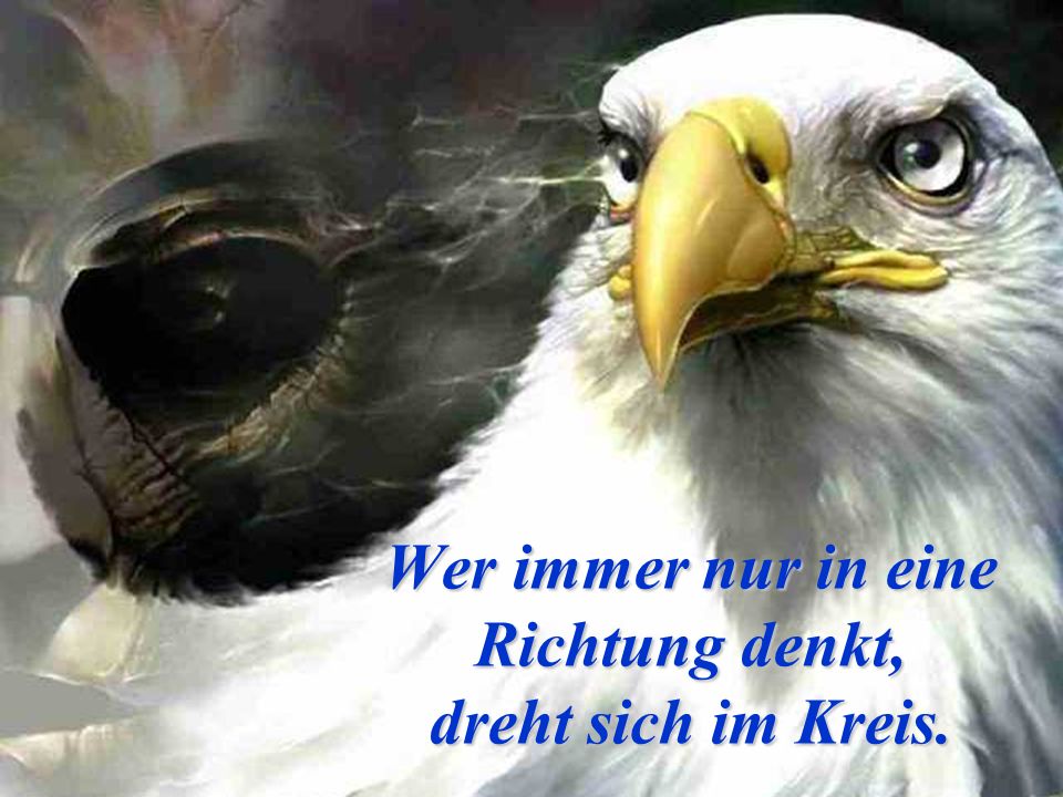 Wer immer nur in eine Richtung denkt, dreht sich im Kreis.