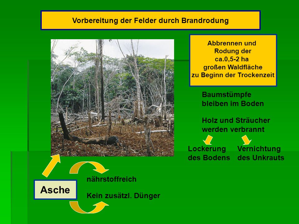 Vorbereitung der Felder durch Brandrodung zu Beginn der Trockenzeit