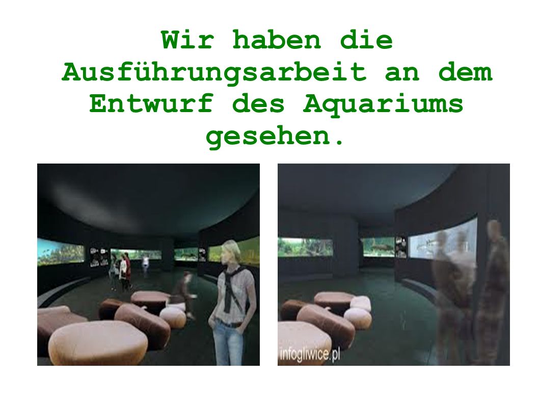 Wir haben die Ausführungsarbeit an dem Entwurf des Aquariums gesehen.