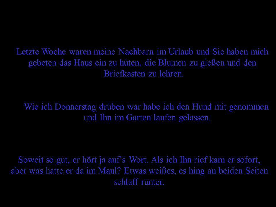 Letzte Woche waren meine Nachbarn im Urlaub und Sie haben mich